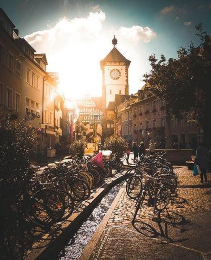 Studio Rome In Der Altstadt Daire Freiburg im Breisgau Dış mekan fotoğraf